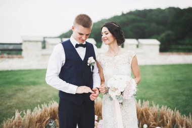 Gelin ve damat alyanslarını değiş tokuş ediyorlar. Şık bir çift töreni.