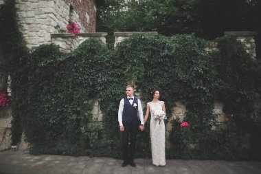 Mükemmel bir çift gelin ve damat düğün günlerinde poz verip öpüşürler.