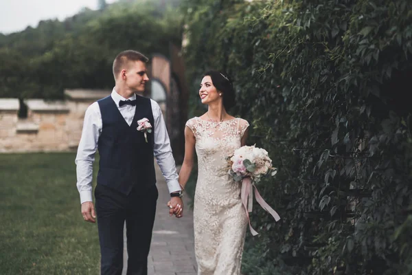 Pareja perfecta novia, novio posando y besándose en el día de su boda —  Fotos de Stock