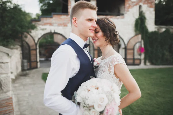 Coppia perfetta sposa, sposo posa e baci nel loro giorno del matrimonio — Foto Stock