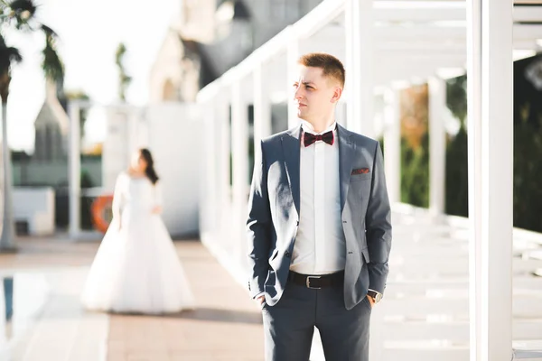 Pareja perfecta novia, novio posando y besándose en el día de su boda —  Fotos de Stock