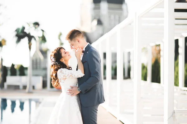 Casal perfeito noiva, noivo posando e beijando em seu dia do casamento — Fotografia de Stock