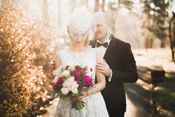 Parkta kucaklaşan yeni evli çiftin güzel romantik düğünü. — Stok fotoğraf