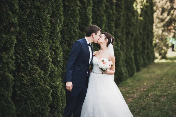 Stilvolles Brautpaar spaziert am Hochzeitstag mit Blumenstrauß durch den Park — Stockfoto