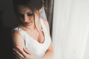 Tüylü, lüks makyaj, saç stili, stüdyo içi fotoğraf çekimi olan güzel bir gelin.