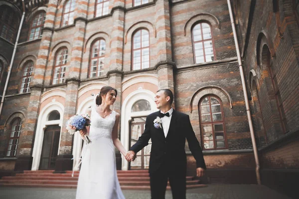 Pareja perfecta novia, novio posando y besándose en el día de su boda — Foto de Stock