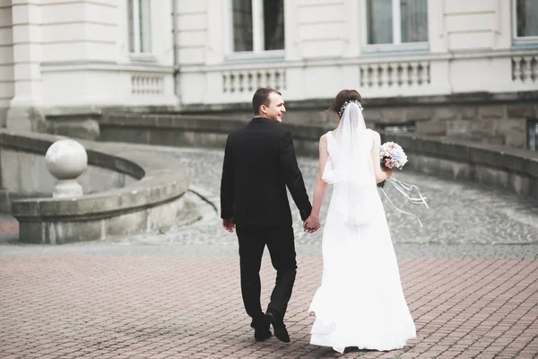 Bella coppia di nozze felice, sposa con abito lungo bianco — Foto Stock