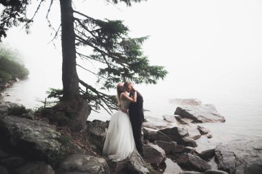 Mükemmel bir çift gelin ve damat düğün günlerinde poz verip öpüşürler.