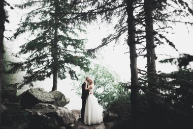 Mutlu düğün çift büyüleyici damat ve mükemmel gelin parkta poz