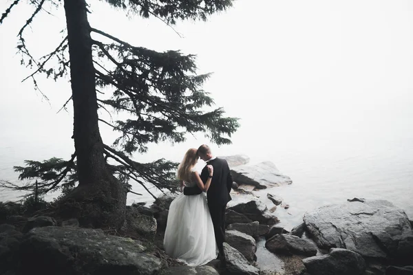 Besos boda pareja estancia sobre hermoso paisaje — Foto de Stock