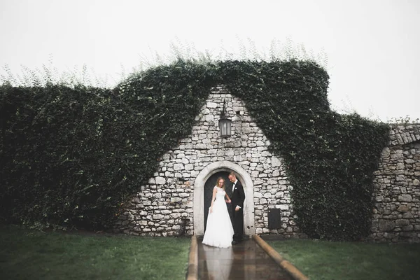 Preciosa pareja feliz boda, novia con vestido blanco largo —  Fotos de Stock