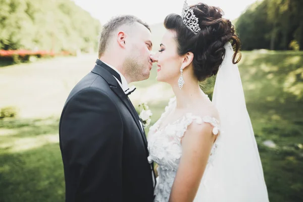 Pareja perfecta novia, novio posando y besándose en el día de su boda — Foto de Stock