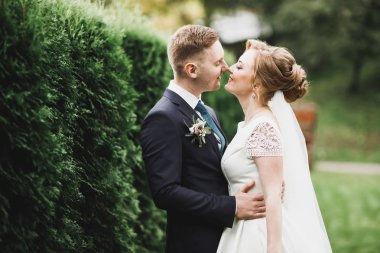 Genç bir çiftin şehvetli portresi. Açık hava.