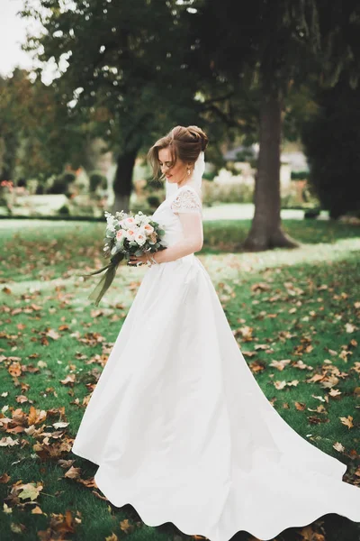 Hermosa novia de lujo en vestido blanco elegante — Foto de Stock