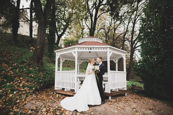 Romántico, cuento de hadas, feliz pareja recién casada abrazándose y besándose en un parque, árboles en el fondo —  Fotos de Stock