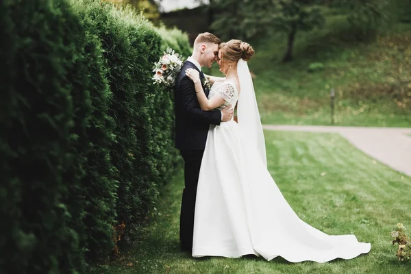 Romântico, conto de fadas, feliz casal recém-casado abraçando e beijando em um parque, árvores no fundo — Fotografia de Stock