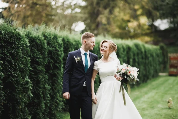 Romantique, conte de fées, couple de jeunes mariés heureux embrassant et embrassant dans un parc, arbres en arrière-plan — Photo