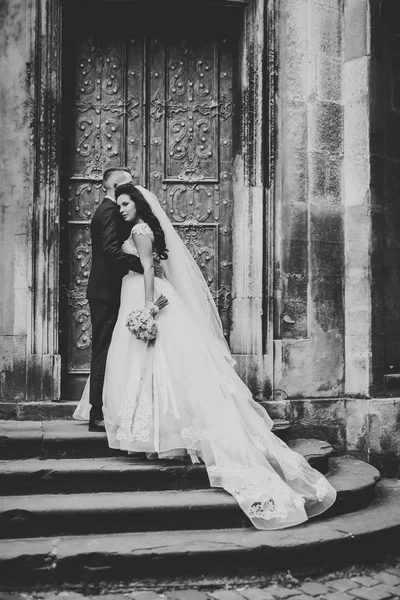 Casal de casamento beijando ficar sobre bela paisagem — Fotografia de Stock