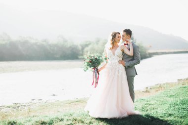 Güzel bir düğün çifti, gelin ve damat gün batımında sahada poz veriyorlar.