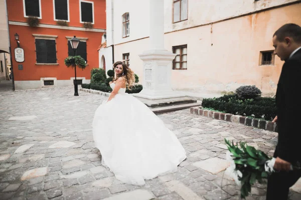 Preciosa pareja feliz boda, novia con vestido blanco largo — Foto de Stock