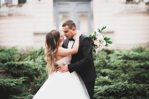 Mooi gelukkig bruidspaar, bruid met lange witte jurk — Stockfoto