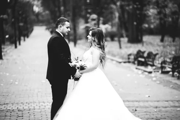 Glückliches Hochzeitspaar beim Spaziergang in einem botanischen Park — Stockfoto