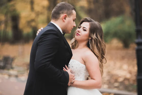 Joyeux couple de mariage marchant dans un parc botanique — Photo