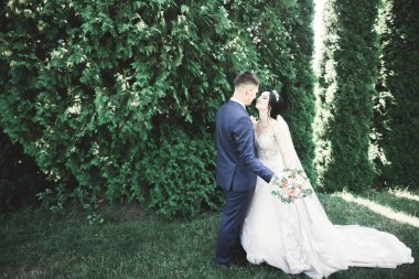 Botanik parkında yürüyen mutlu bir çift.