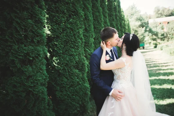 Romantický, pohádkový, šťastný novomanželský pár objímající a líbající se v parku, stromy v pozadí — Stock fotografie