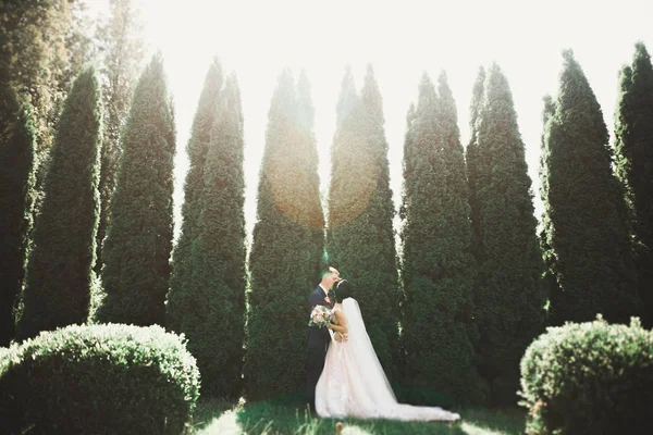 Romântico, conto de fadas, feliz casal recém-casado abraçando e beijando em um parque, árvores no fundo — Fotografia de Stock