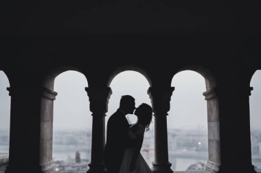 Mükemmel bir çift gelin ve damat düğün günlerinde poz verip öpüşürler.