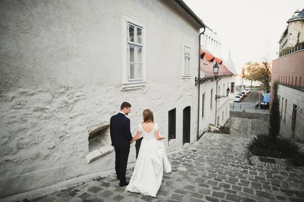 Gorgeous wedding couple walking in the old city — Stock Photo, Image