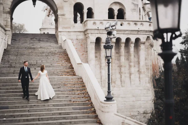 Красива весільна пара піднімається розкішними сходами, тримаючись за руки і дивиться один на одного — стокове фото