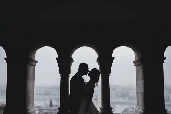 Perfect couple bride, groom posing and kissing in their wedding day — Stock Photo, Image