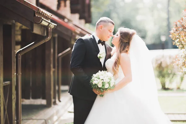 Perfect koppel bruid, bruidegom poseren en kussen in hun trouwdag — Stockfoto