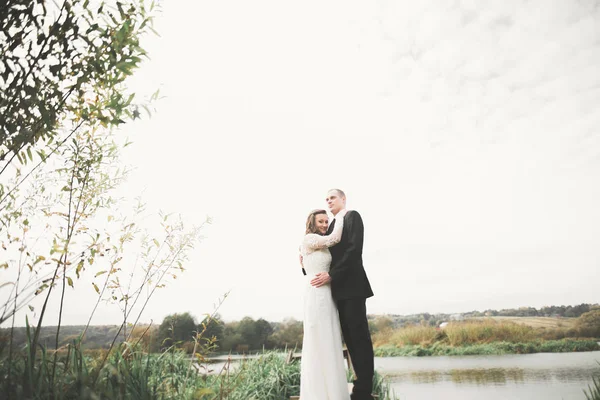 Romántico, cuento de hadas, feliz pareja recién casada abrazándose y besándose en un parque, árboles en el fondo —  Fotos de Stock