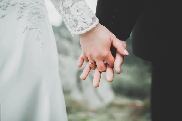 Boda pareja novia y novio de la mano — Foto de Stock