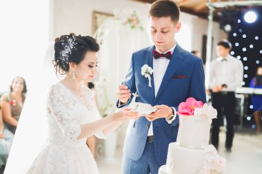 Gelin ve damat düğün pastasını kesiyor.