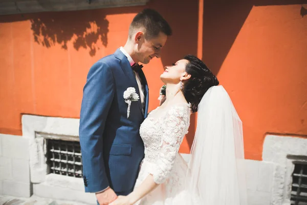 Τέλεια νύφη ζευγάρι, γαμπρός ποζάρουν και φιλιούνται την ημέρα του γάμου τους — Φωτογραφία Αρχείου