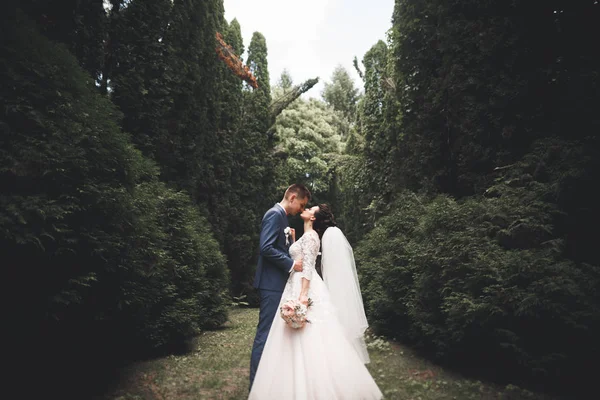 Pareja feliz boda caminando en un parque botánico —  Fotos de Stock