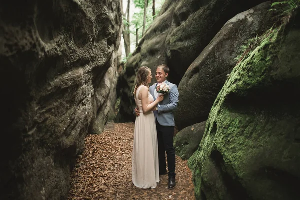 Splendido Matrimonio Coppia Baci Abbracci Nella Foresta Con Grandi Rocce — Foto Stock