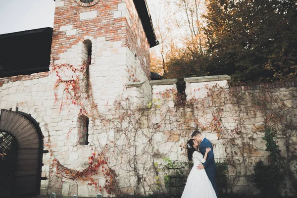 Romantik, peri masalı, mutlu yeni evli çift parkta sarılıp öpüşüyor, arka planda ağaçlar... — Stok fotoğraf