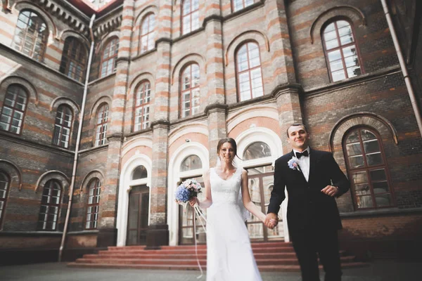 Casal feliz encantador do casamento, noiva com vestido branco longo — Fotografia de Stock