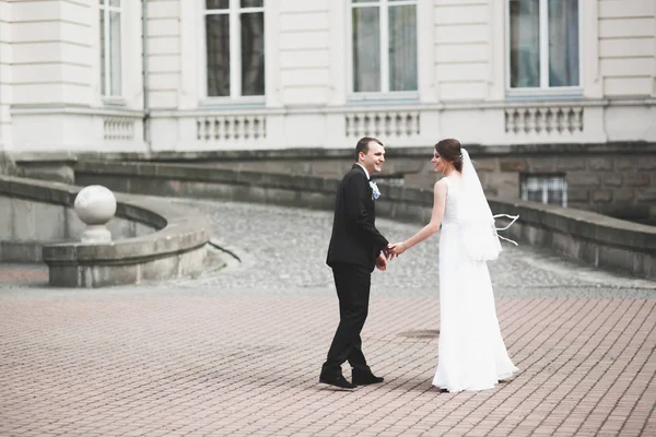 Perfect couple bride, groom posing and kissing in their wedding day — Stock Photo, Image