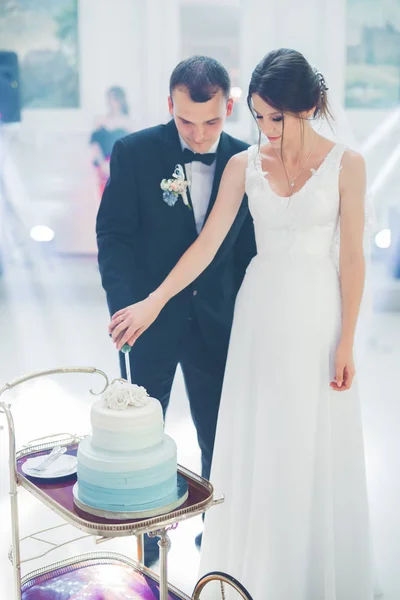 Наречений і наречений на весіллі вирізають весільний торт — стокове фото