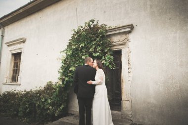 Şehvetli evli çift, eski Slav kalesinin önünde sevgililer günü kucaklaşması.