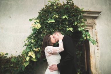 Şehvetli evli çift, eski Slav kalesinin önünde sevgililer günü kucaklaşması.