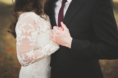 Güzel romantik bir çift yeni evliler gün batımında parkta sarılıyorlar.