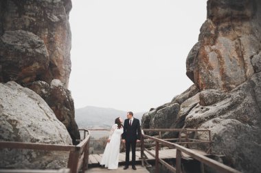 Güzel dağlarda poz veren mutlu bir düğün çifti.