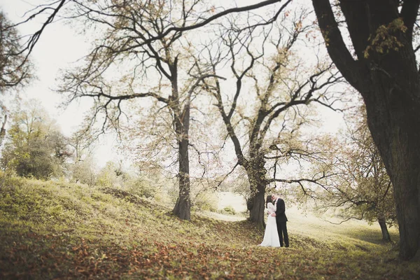 Bella coppia di sposi romantici che si abbracciano nel parco al tramonto — Foto Stock